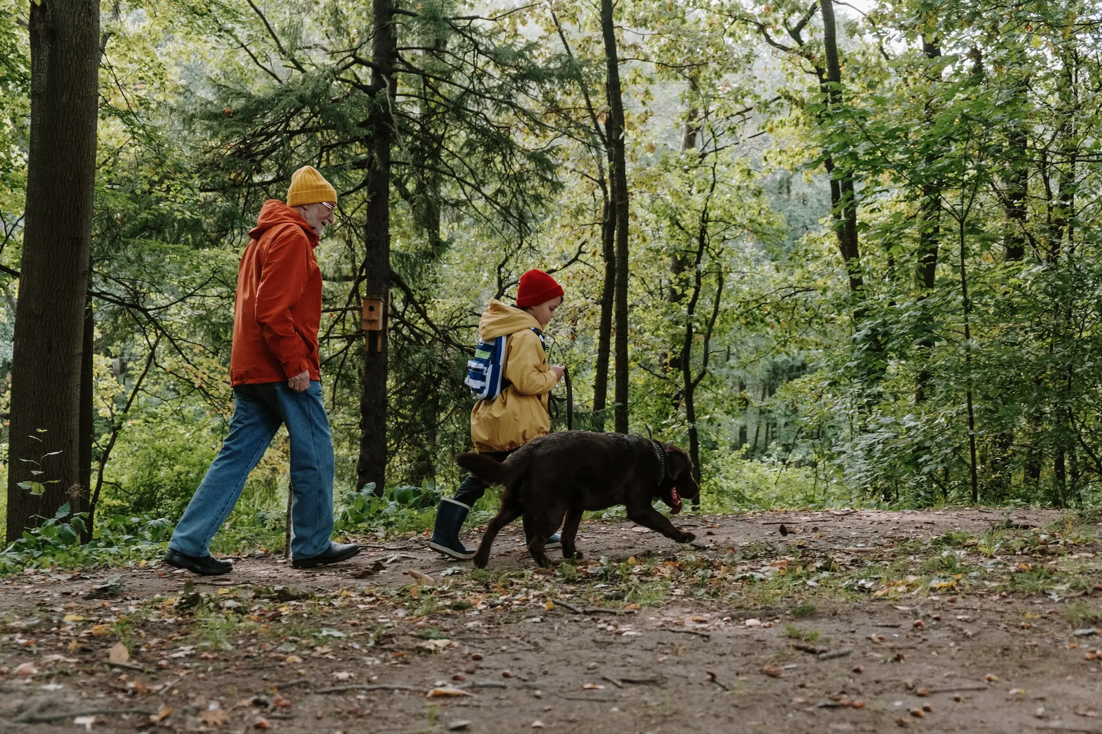 Family hiking with their dog